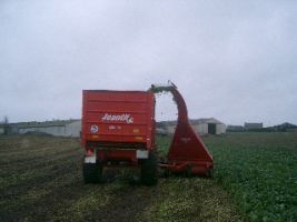 Distribution trailer DM with flail harvester
