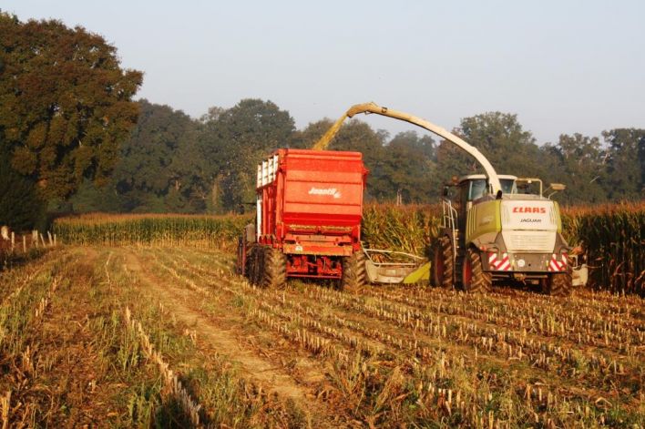 EPR version ensilage