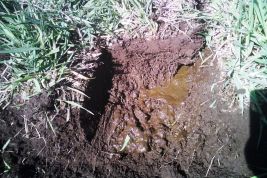 Side section of soil after injection